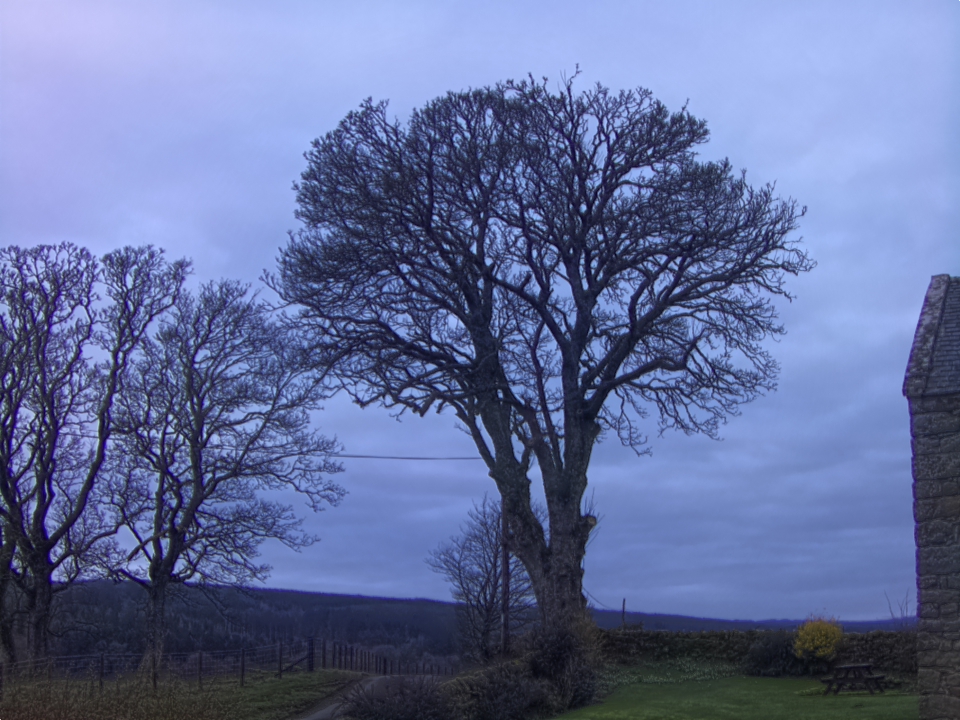 Webcam photo for 07 hrs today