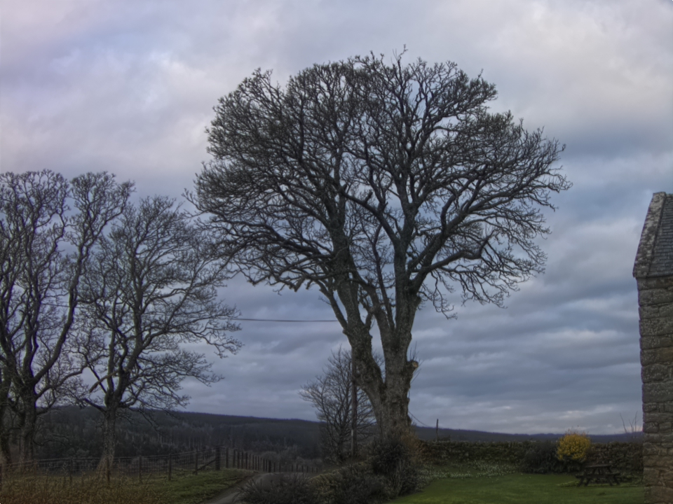 Webcam photo for 08 hrs today