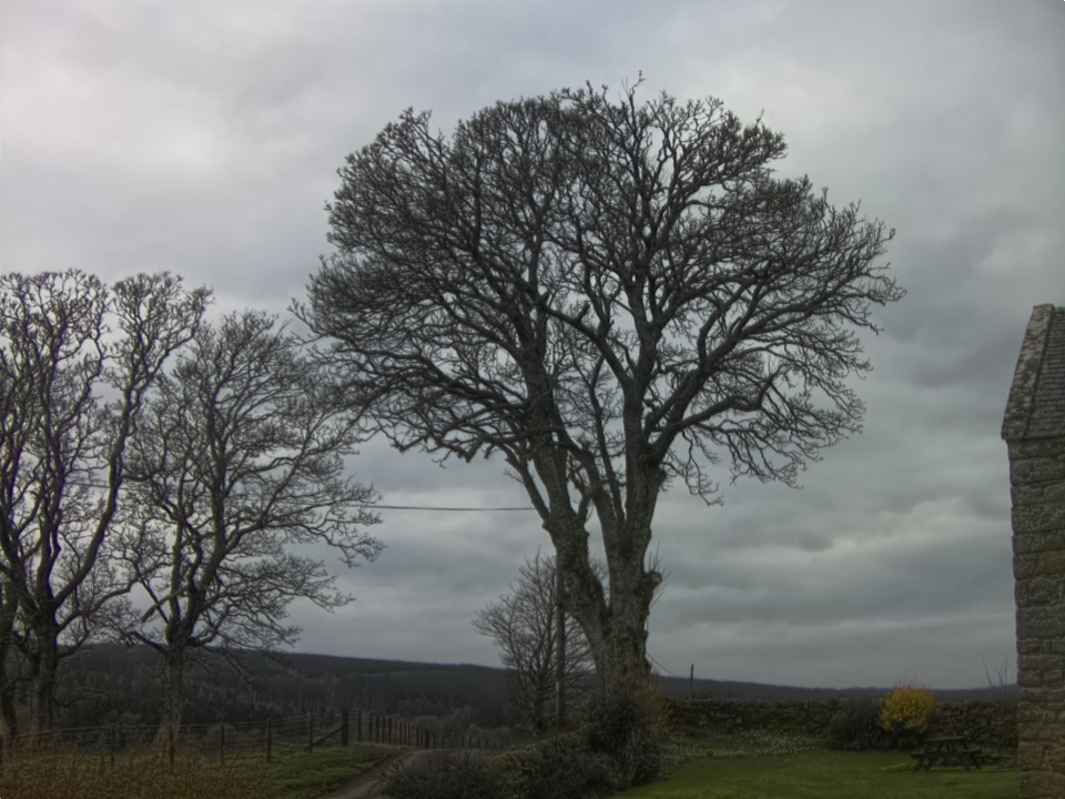 Webcam photo for 10 hrs today