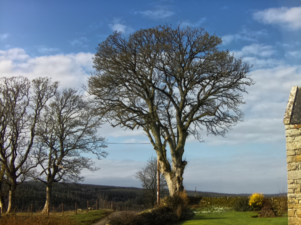 Webcam photo for 11 hrs today