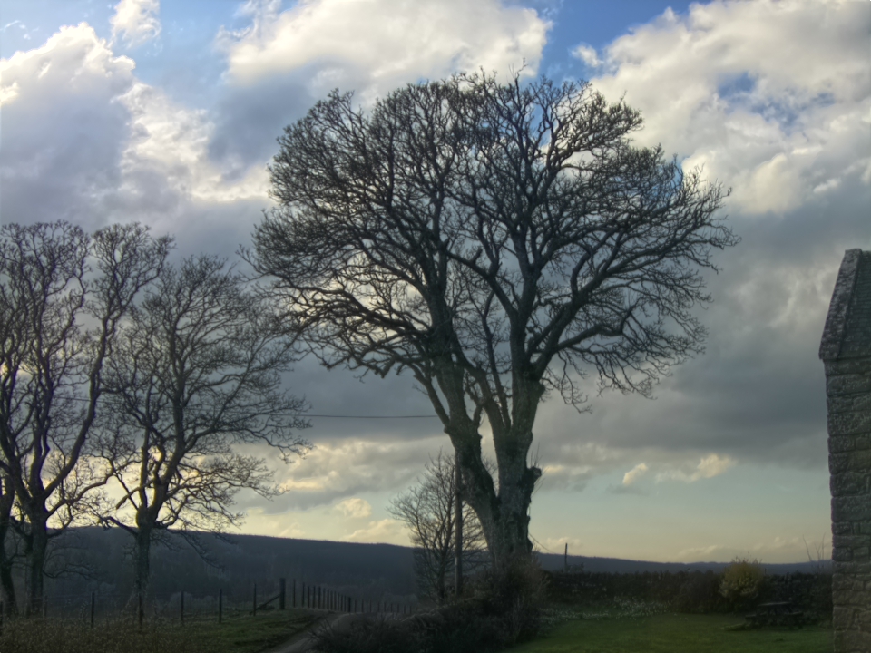 Webcam photo for 15 hrs today