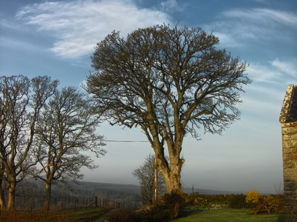 Webcam photo for 08 hrs today