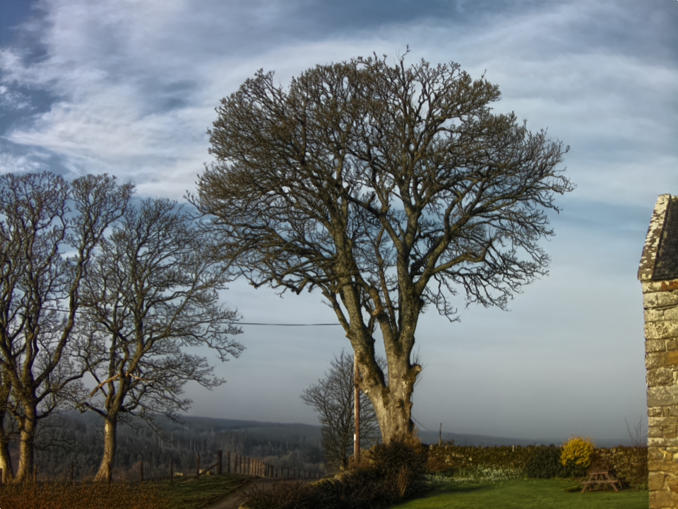 Webcam photo for 09 hrs today