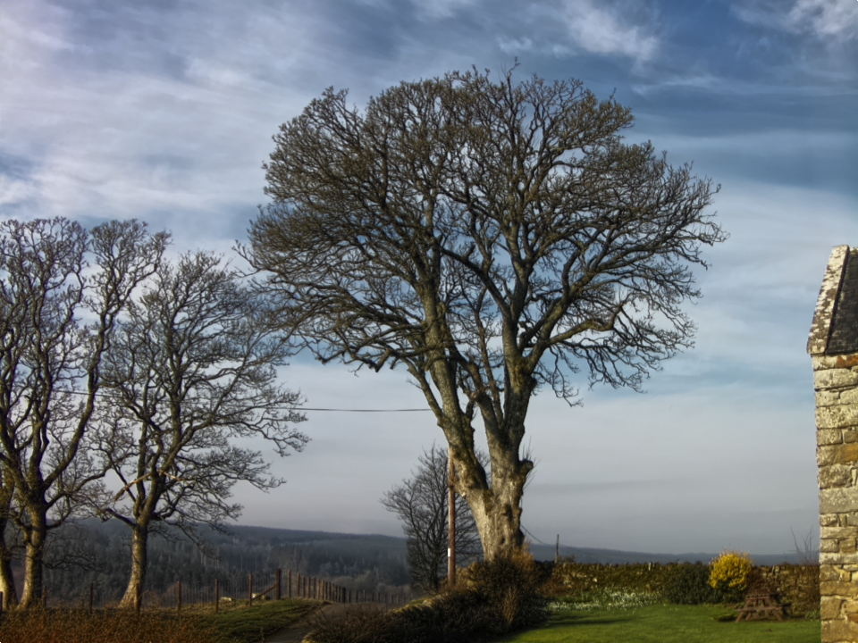 Webcam photo for 10 hrs today