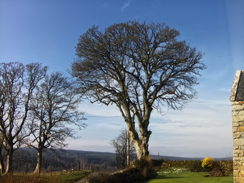 Webcam photo for 11 hrs today