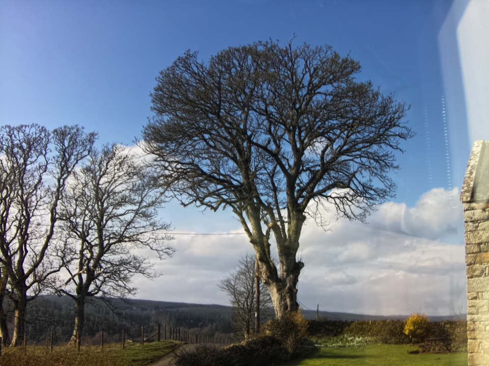 Webcam photo for 12 hrs today