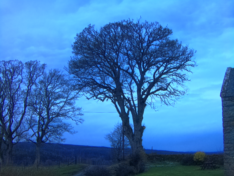 Webcam photo for 18 hrs today