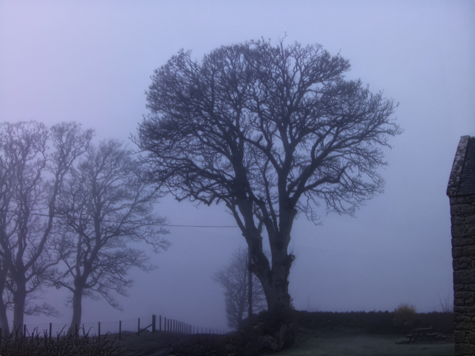 Webcam photo for 07 hrs today