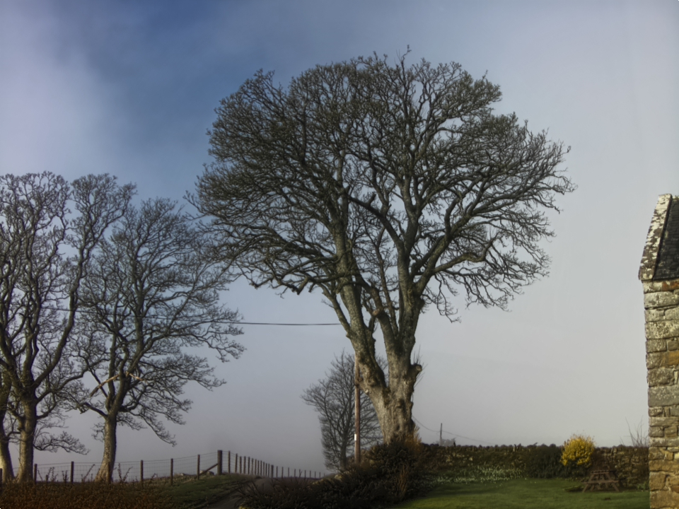 Webcam photo for 10 hrs today