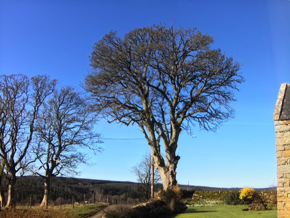 Webcam photo for 11 hrs today