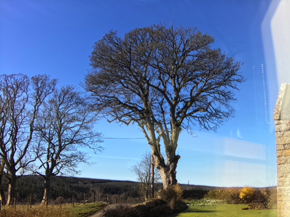 Webcam photo for 12 hrs today