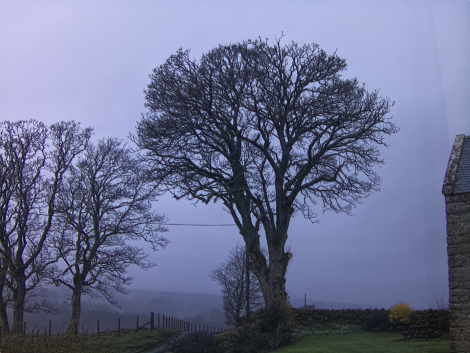 Webcam photo for 07 hrs today