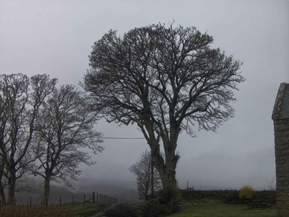 Webcam photo for 08 hrs today