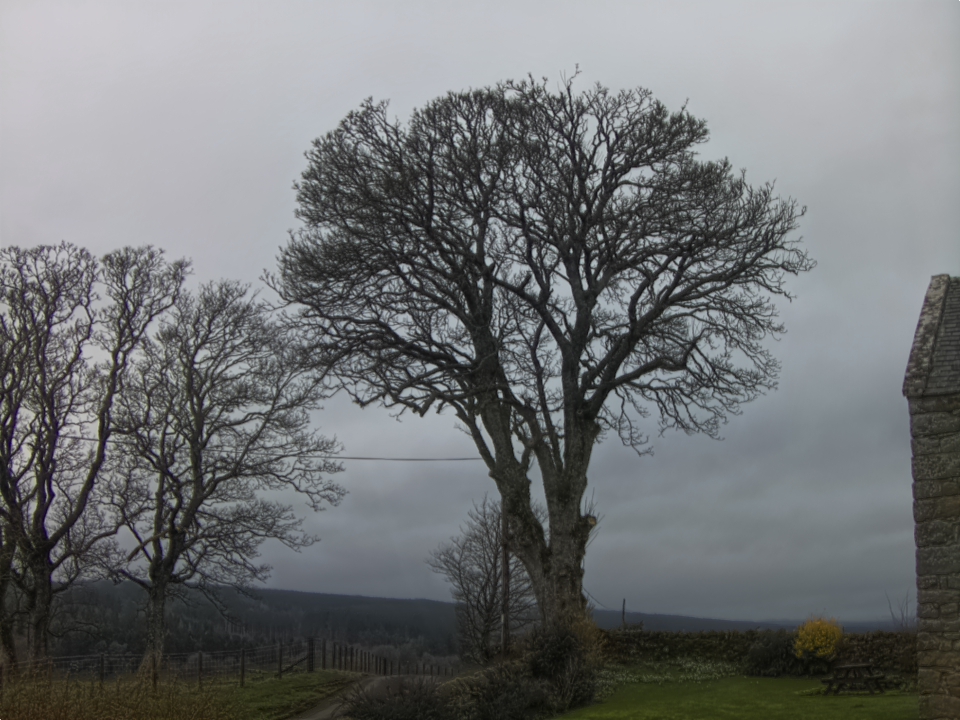 Webcam photo for 14 hrs today