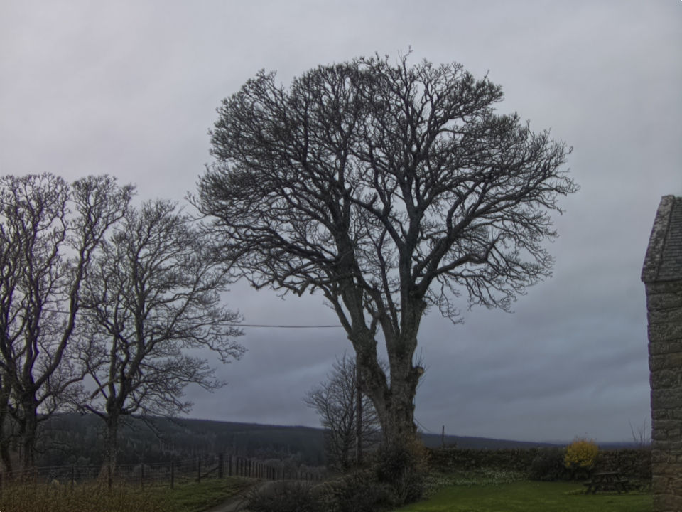 Webcam photo for 15 hrs today