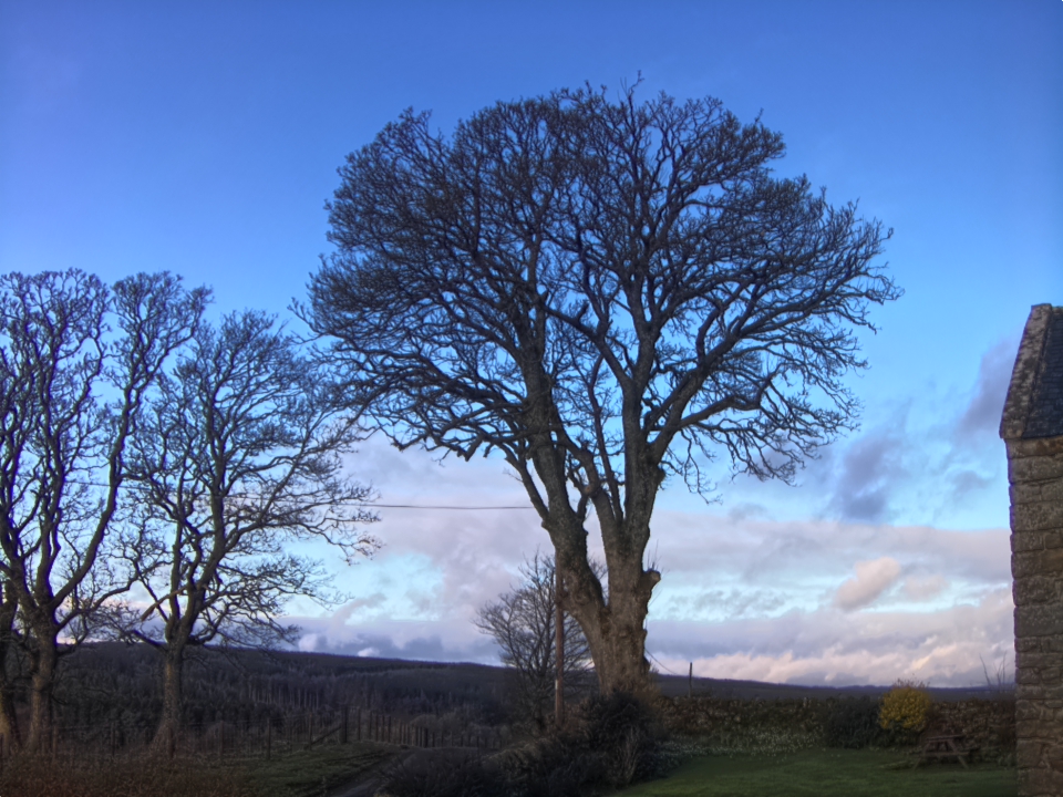 Webcam photo for 08 hrs today