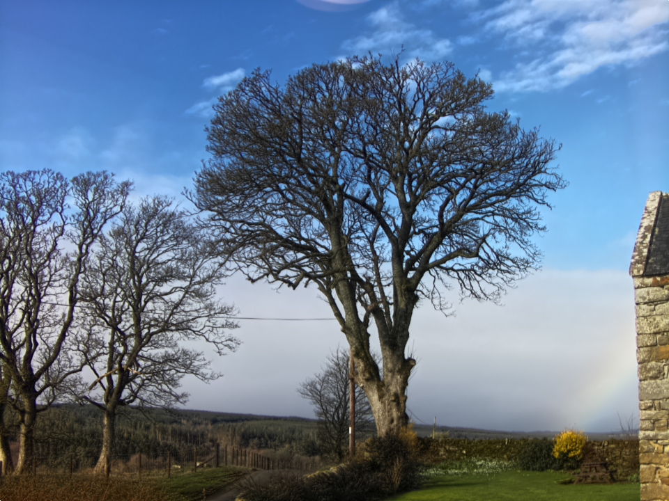 Webcam photo for 10 hrs today