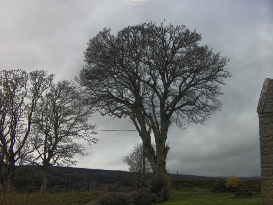 Webcam photo for 12 hrs today