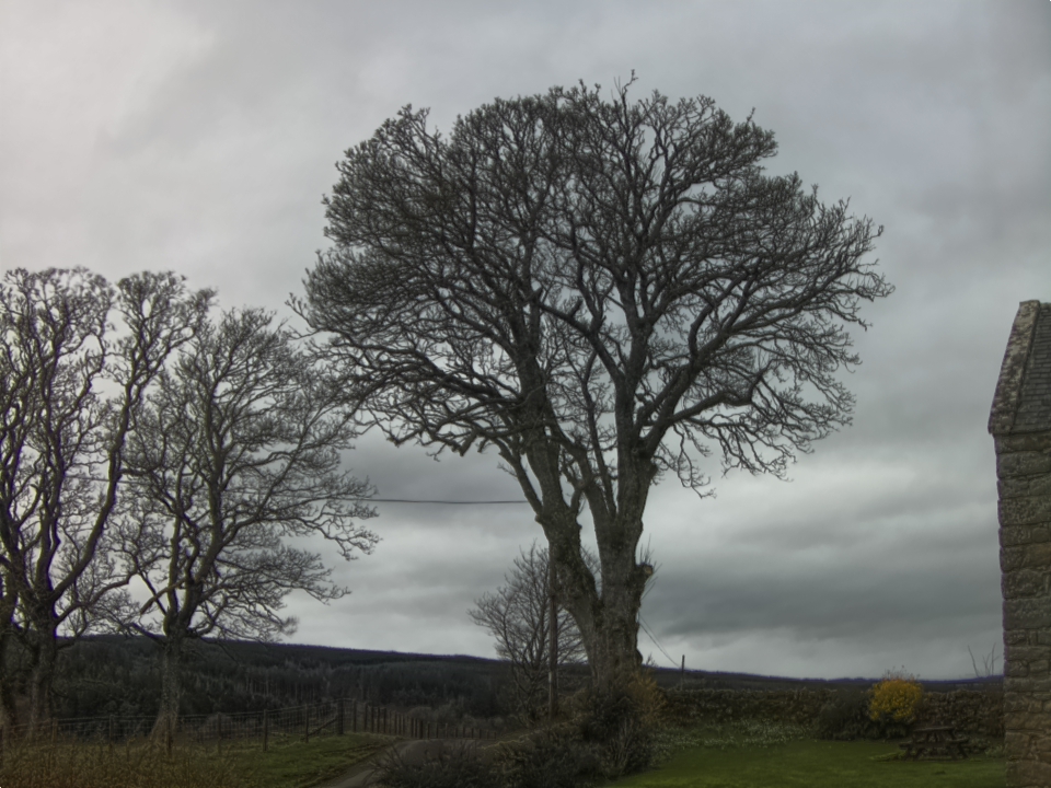 Webcam photo for 14 hrs today