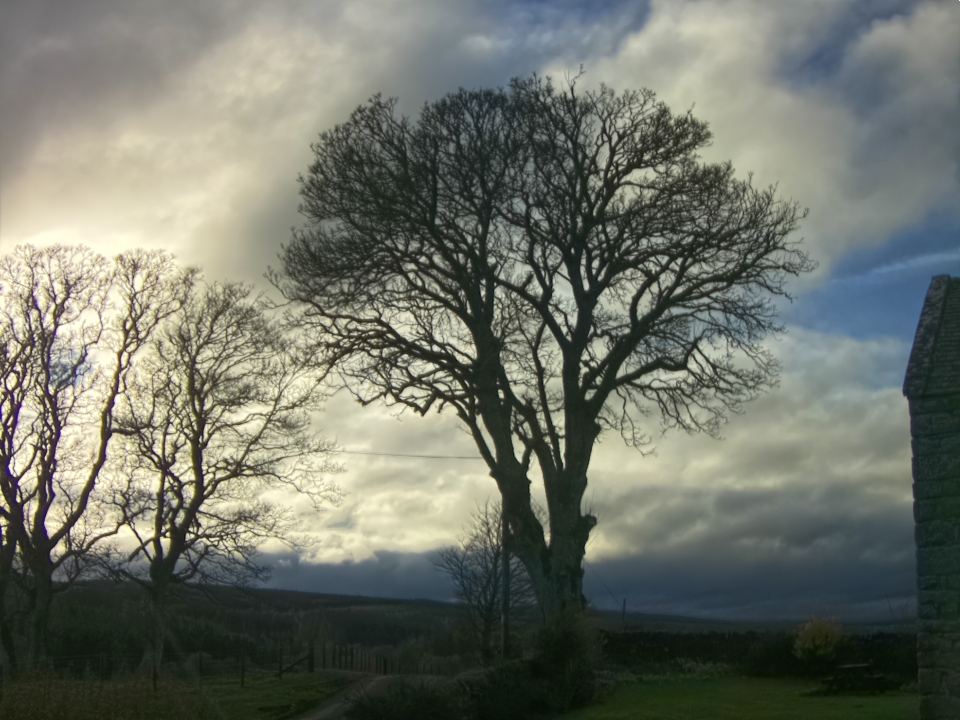 Webcam photo for 16 hrs today