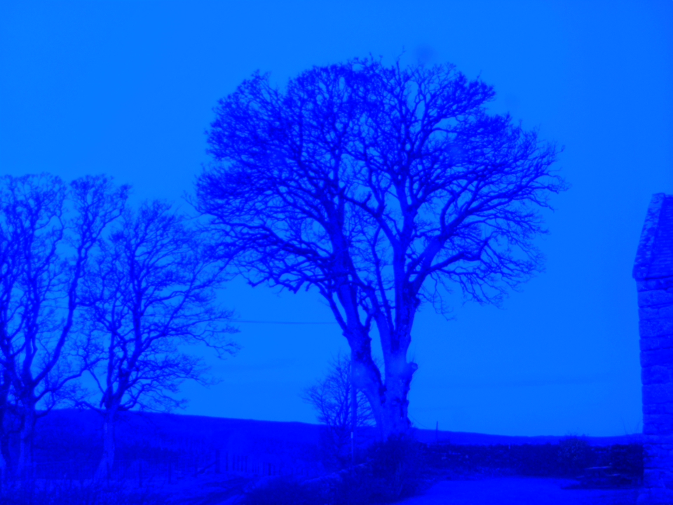 Webcam photo for 06 hrs today