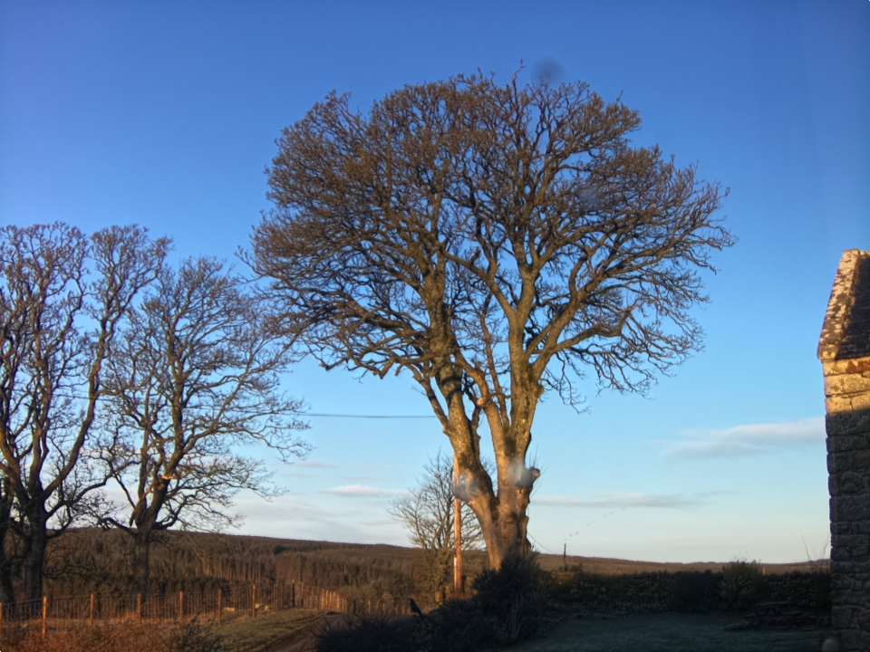 Webcam photo for 07 hrs today