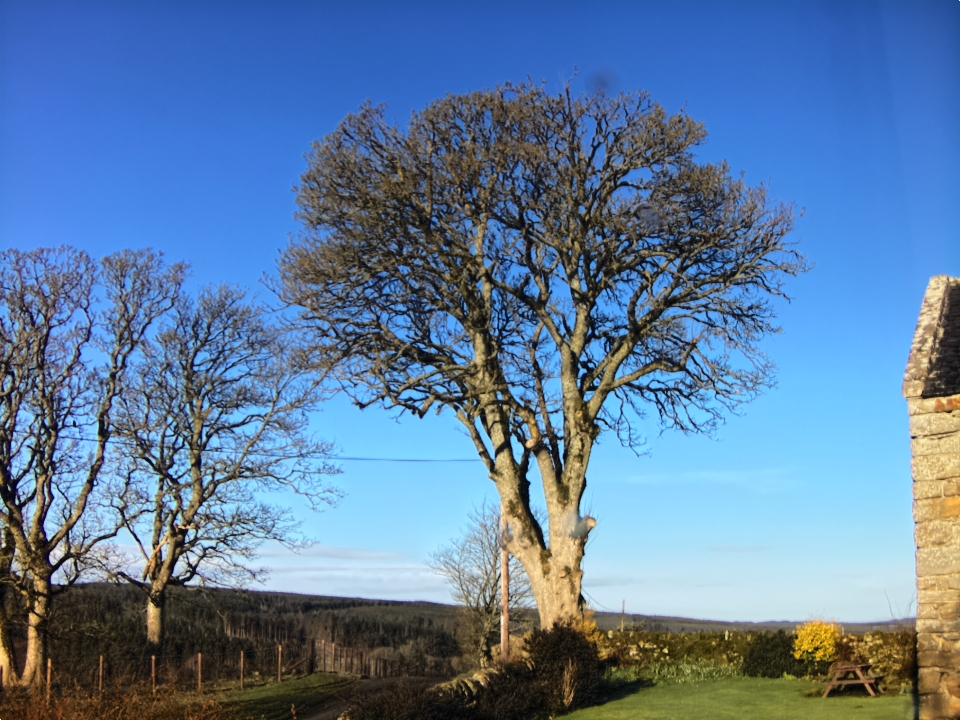 Webcam photo for 08 hrs today