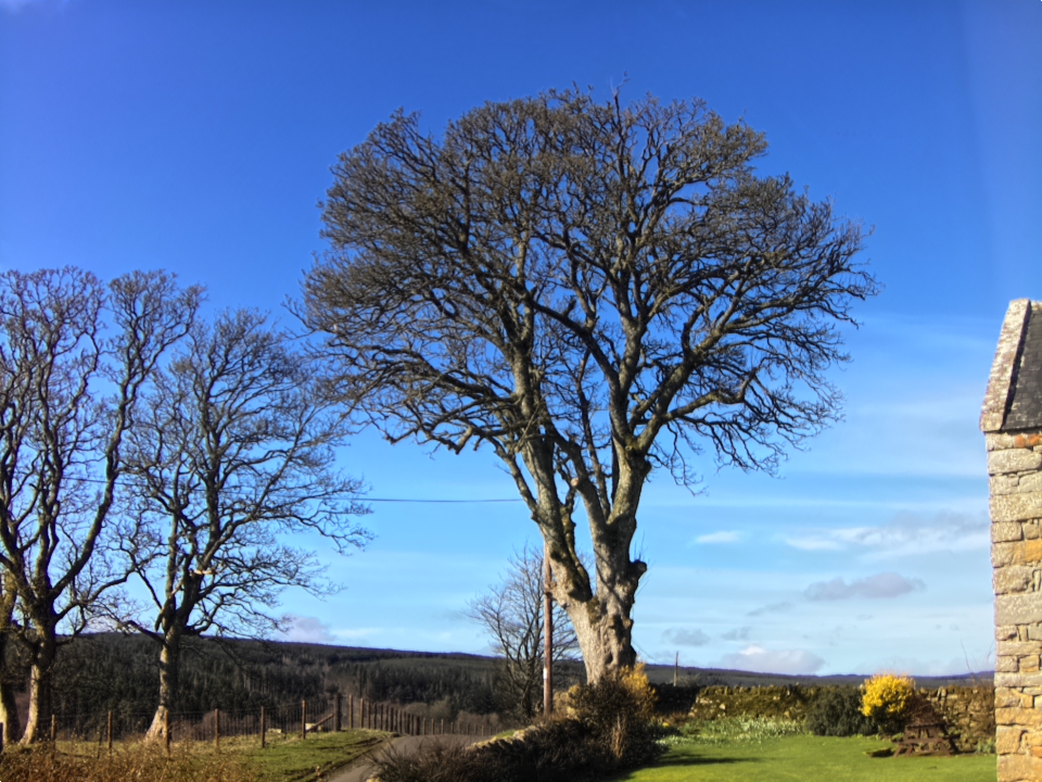 Webcam photo for 11 hrs today