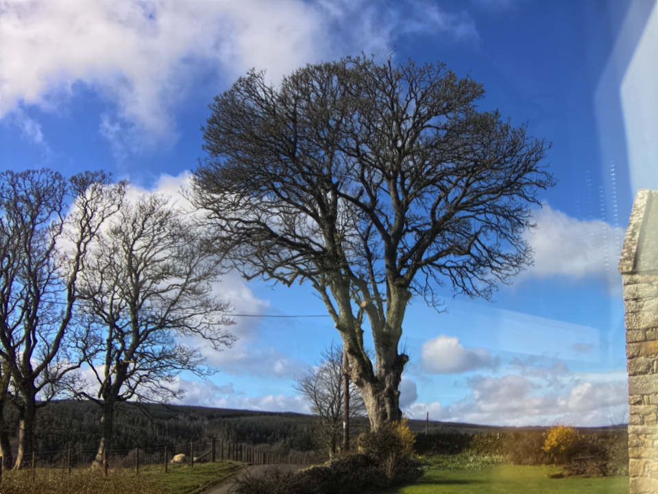 Webcam photo for 12 hrs today