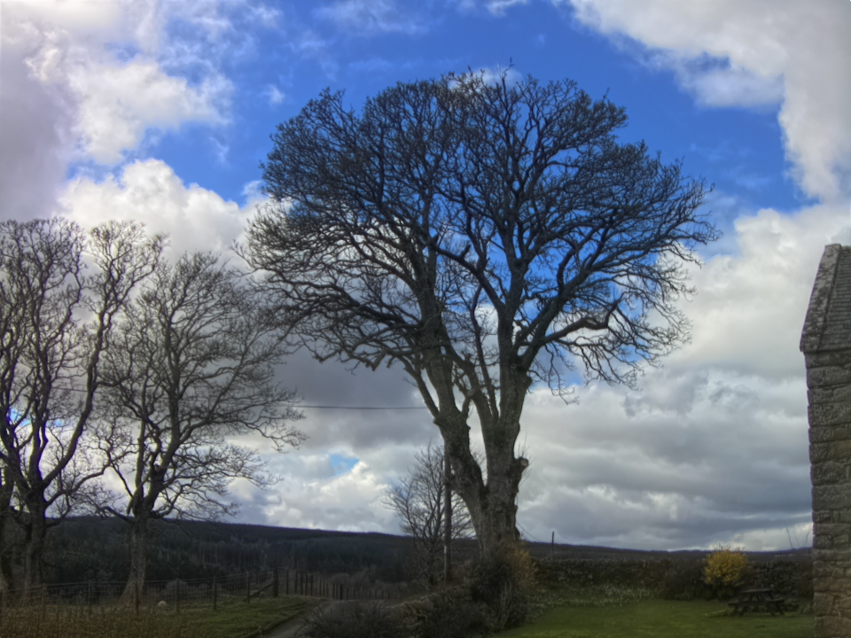 Webcam photo for 13 hrs today