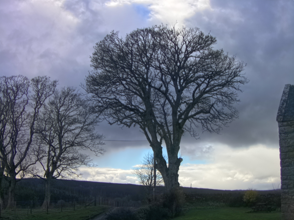 Webcam photo for 15 hrs today