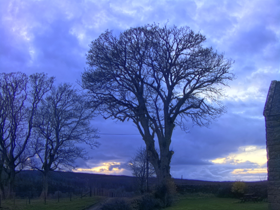 Webcam photo for 18 hrs today