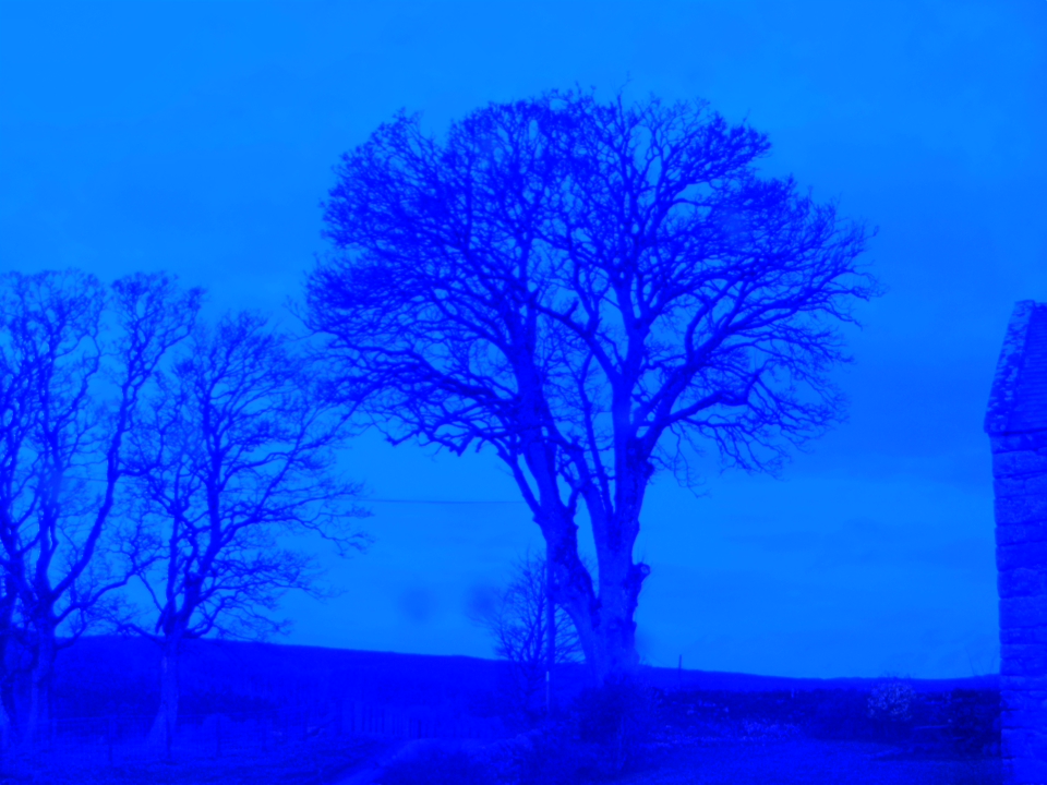 Webcam photo for 06 hrs today