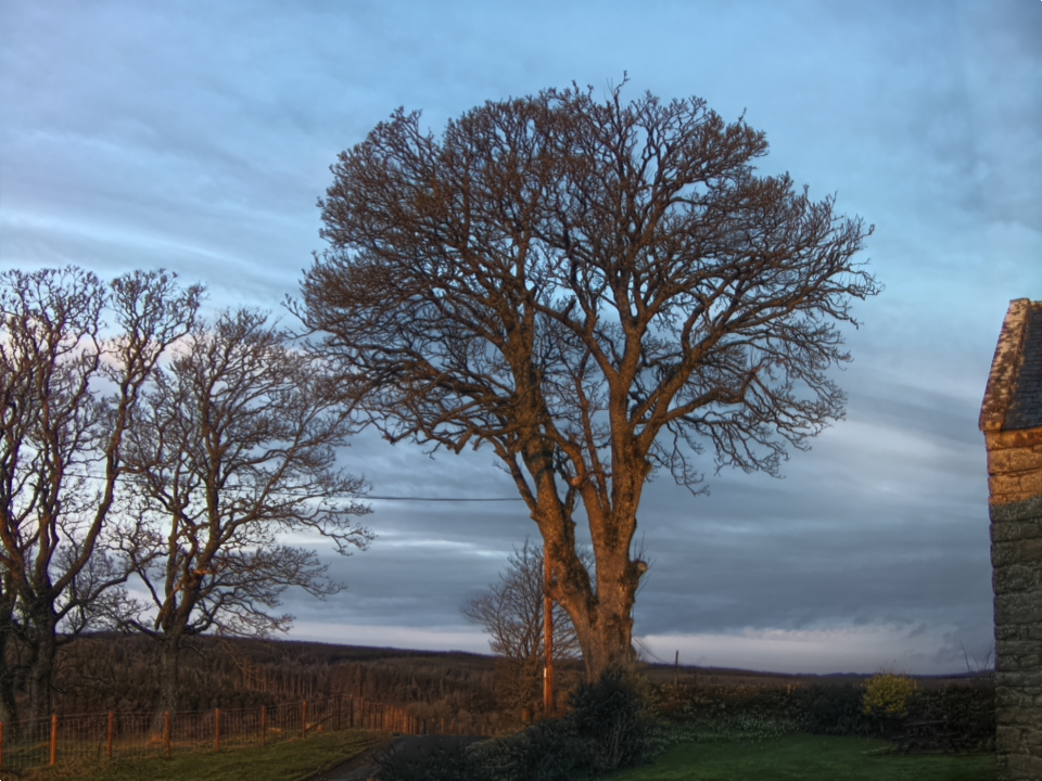 Webcam photo for 07 hrs today