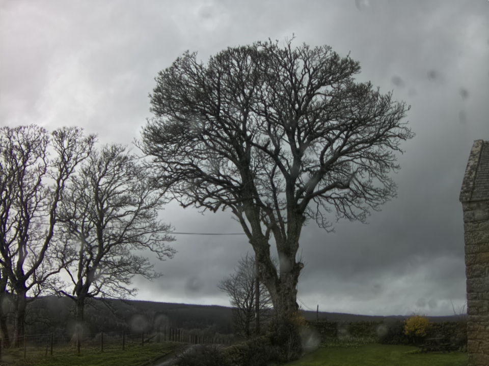 Webcam photo for 13 hrs today