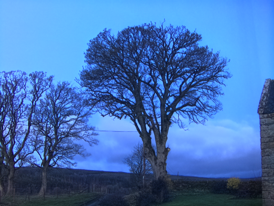 Webcam photo for 06 hrs today