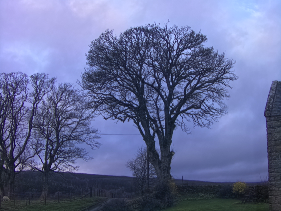 Webcam photo for 07 hrs today