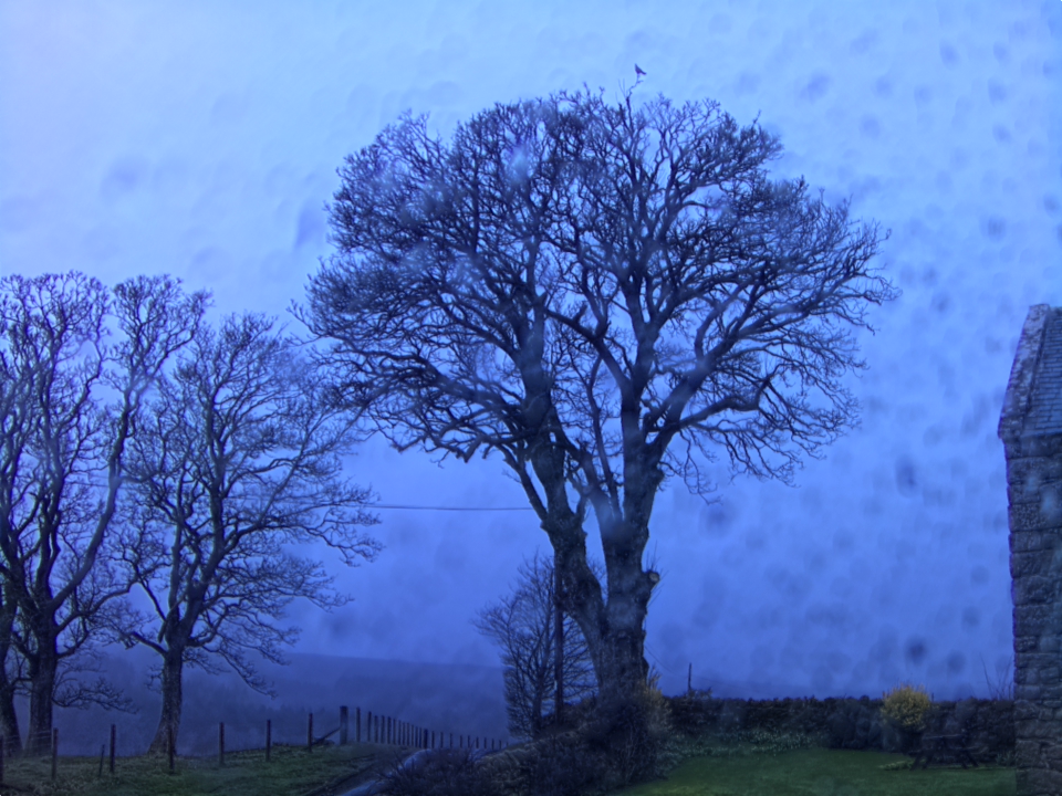 Webcam photo for 18 hrs today