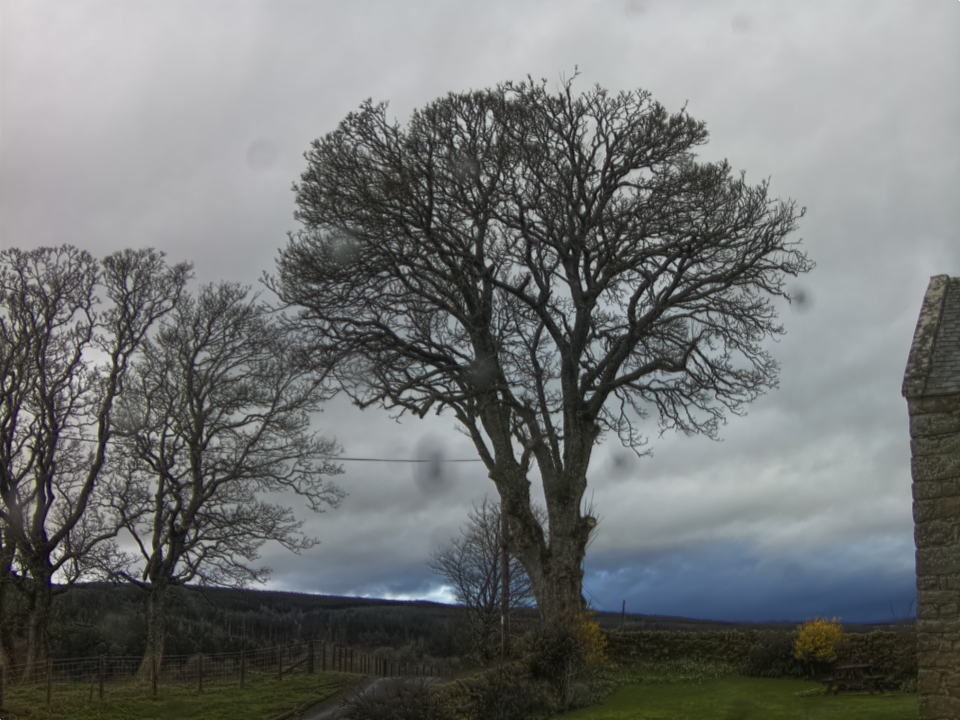 Webcam photo for 08 hrs today