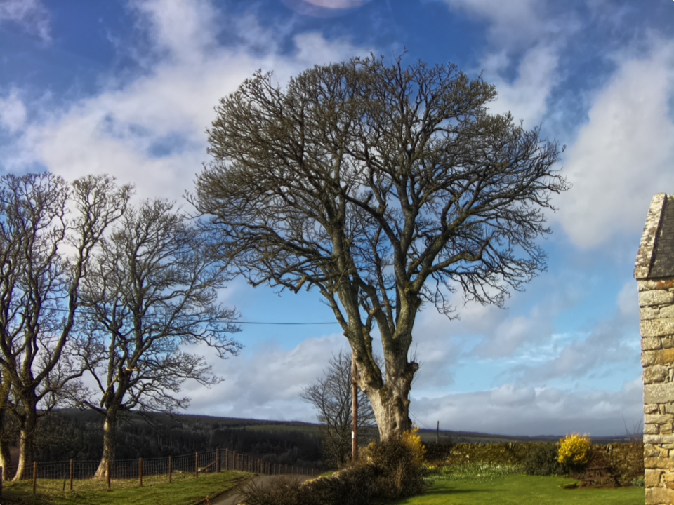 Webcam photo for 11 hrs today