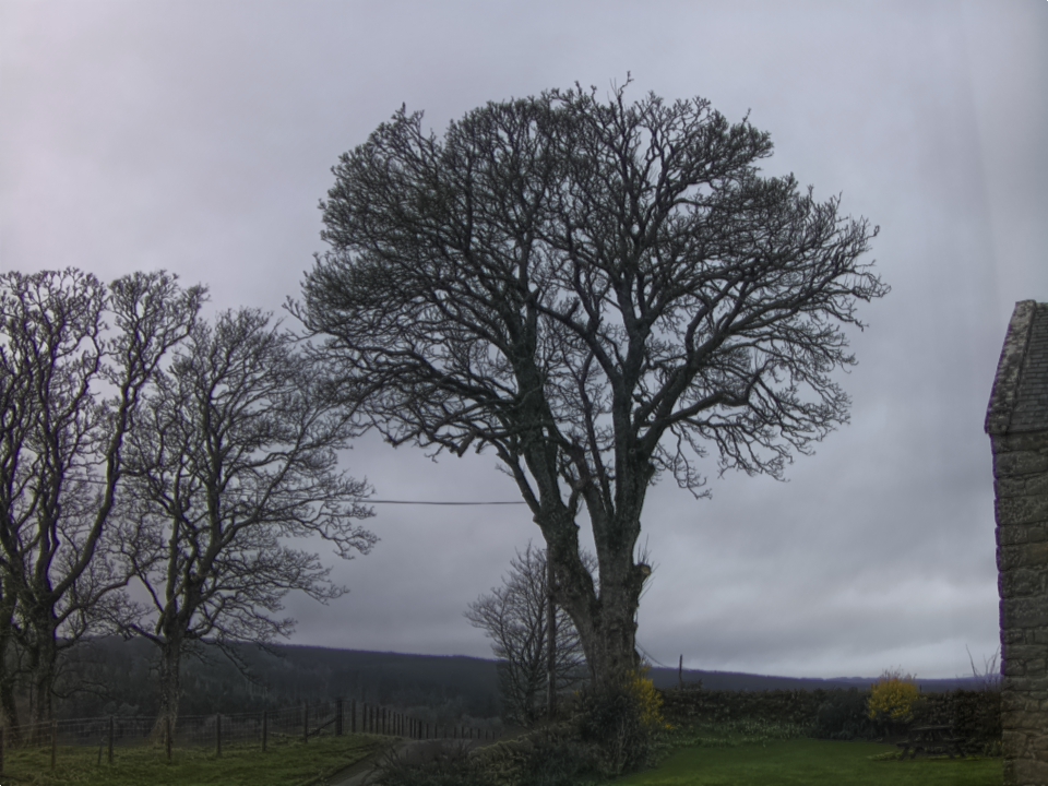 Webcam photo for 07 hrs today