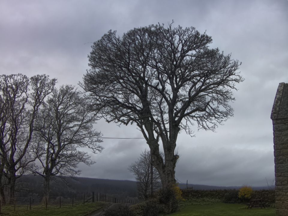 Webcam photo for 08 hrs today