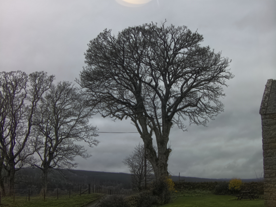 Webcam photo for 10 hrs today