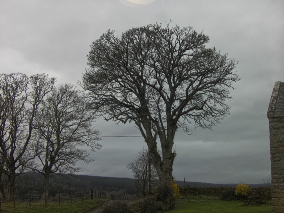 Webcam photo for 11 hrs today