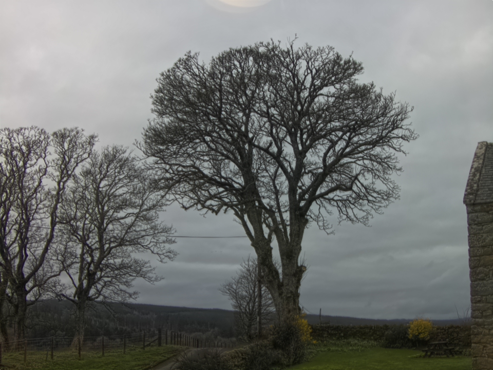 Webcam photo for 12 hrs today