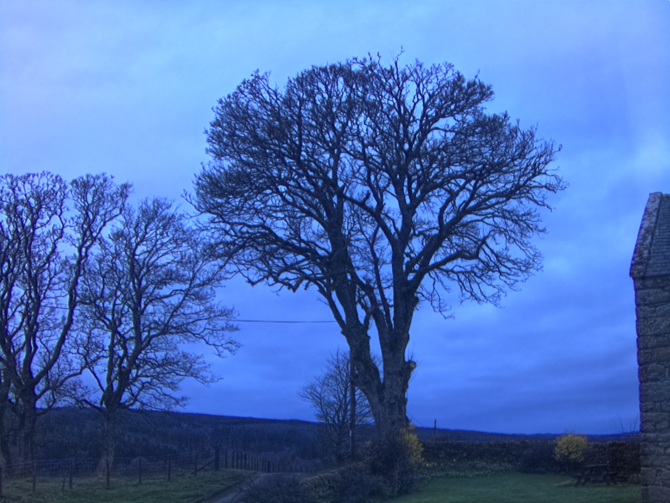 Webcam photo for 06 hrs today