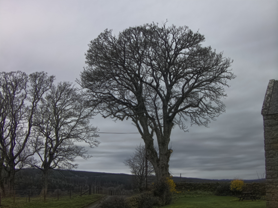 Webcam photo for 08 hrs today