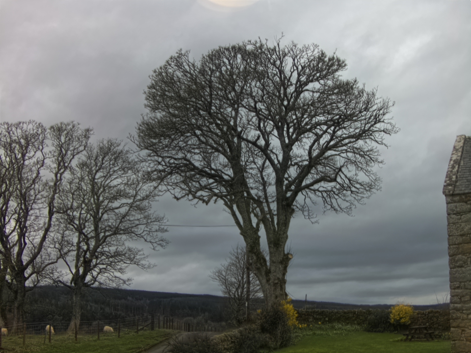 Webcam photo for 12 hrs today