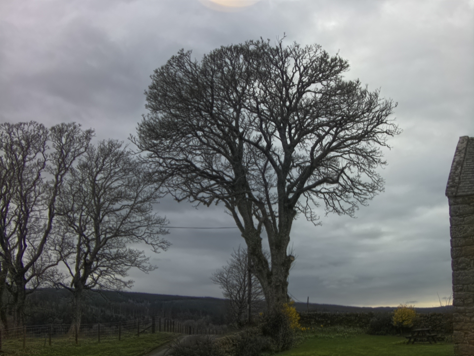 Webcam photo for 16 hrs today