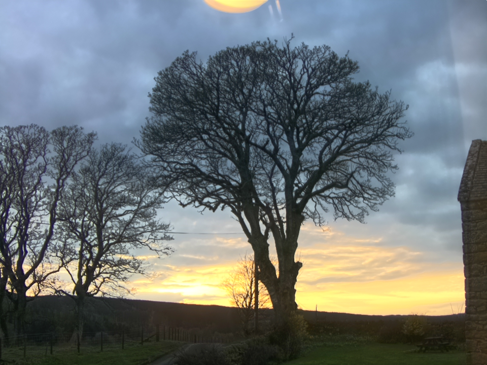 Webcam photo for 18 hrs today